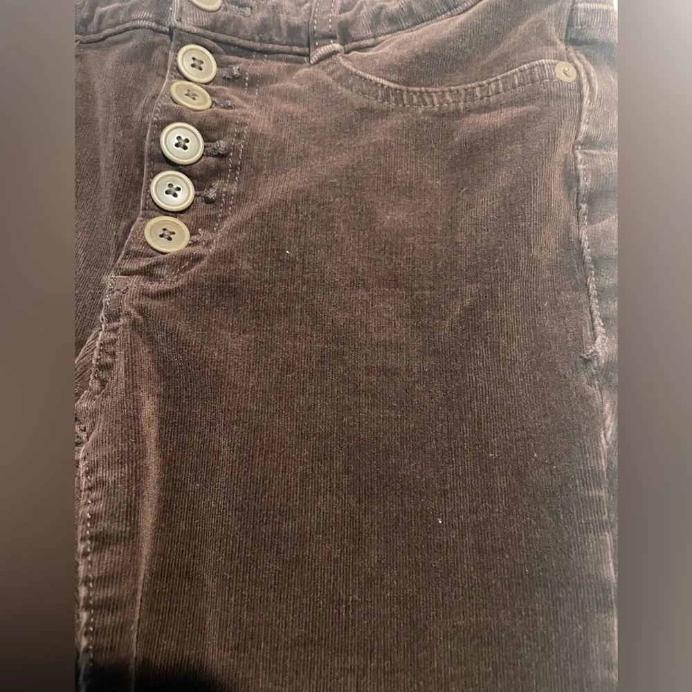 Pilcro anthropologie corduroy